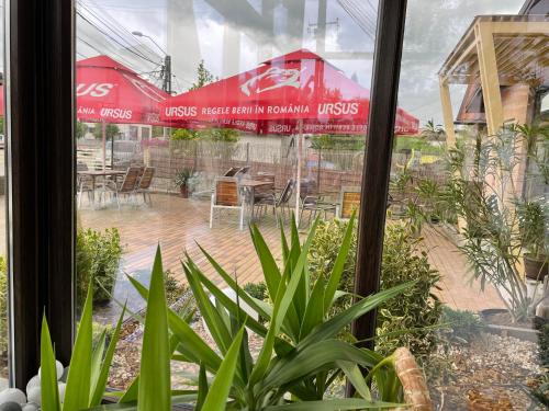 a view of a patio from a window with plants at Pensiunea Prestige House in Curtea de Argeş