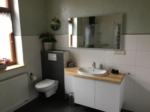 a bathroom with a toilet and a sink and a mirror at Ferienwohnung Rust in Oranienbaum-Wörlitz