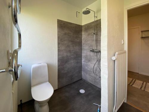 a bathroom with a shower and a toilet in it at B&F Lägenheter in Nora