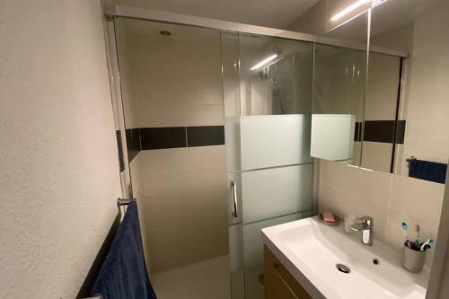 une salle de bain avec douche et lavabo dans l'établissement Maison saint cyprien plage, à Saint-Cyprien