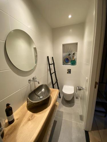 a bathroom with a sink and a mirror and a toilet at Paauwze in Rijnsburg