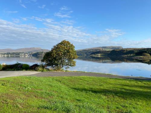 a lake with a tree in the middle of a field at Scorr House Apartment in Portree