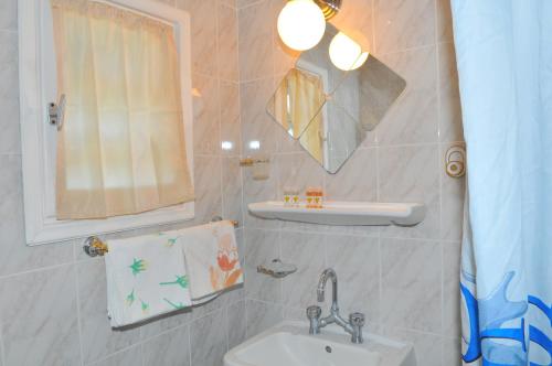 Oasis Hotel Theodoros & Litsa Galaris tesisinde bir banyo