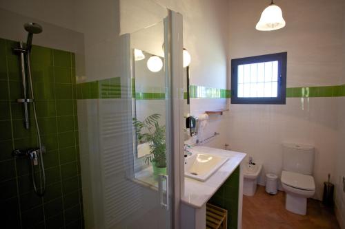 uma casa de banho com um chuveiro, um lavatório e um WC. em Las Tobas em Higuera de la Sierra