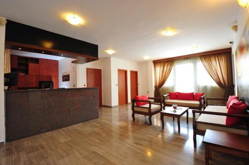 a living room with couches and chairs and a kitchen at Anna Ageliki in Damnoni