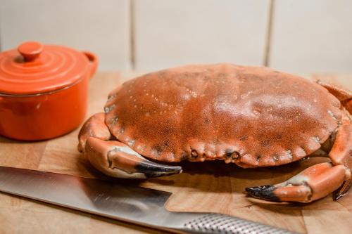 a large cooked crab sitting on a cutting board at Oceanum Visum Spa Deluxe in El Trocadero