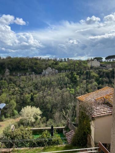 vistas a una colina con árboles y edificios en Casa vicolo dell’assedio en Pitigliano
