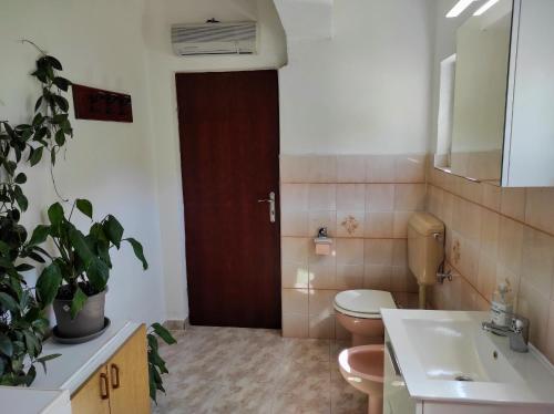 a bathroom with a toilet and a sink and a mirror at Apartment Andela - affordable in Iž Mali