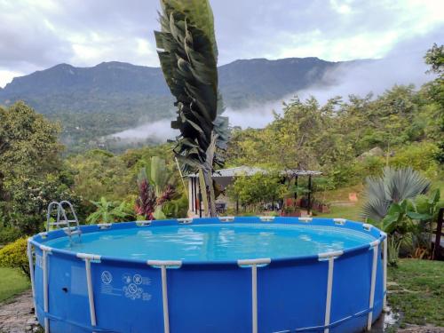 a blue hot tub with a palm tree and mountains in the background at Villa Falian Nido el Gorrión in Viotá