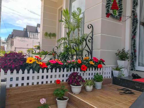 a bunch of flowers in pots on a balcony at Jolie House in Da Lat