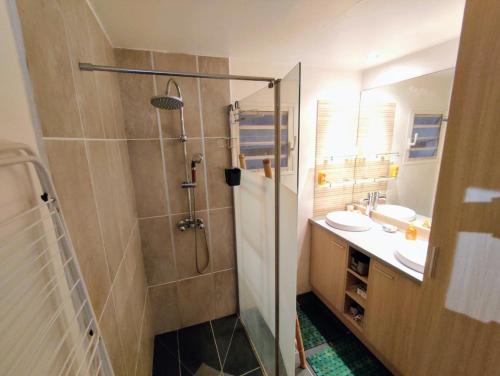 a bathroom with a shower and a sink at T2 à 300m de la plage in La Saline Les hauts 