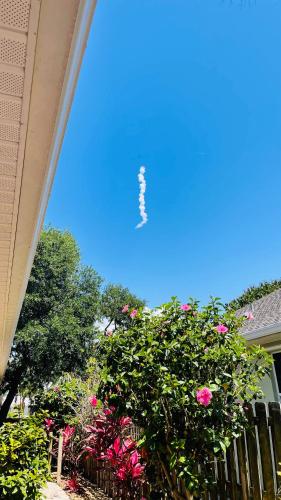 a bird flying in the sky over a garden with pink roses at Casa Flamingo in Cape Canaveral