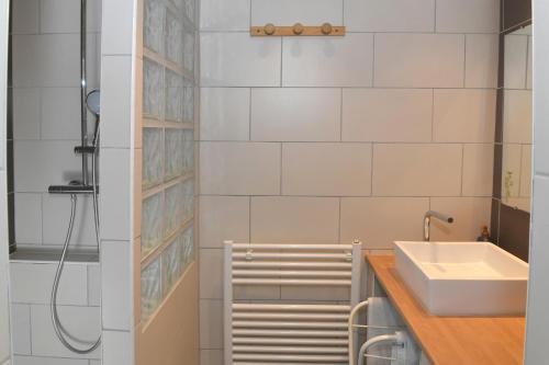 une salle de bain avec un lavabo et une douche dans l'établissement LE DUPLEX, à Colmar