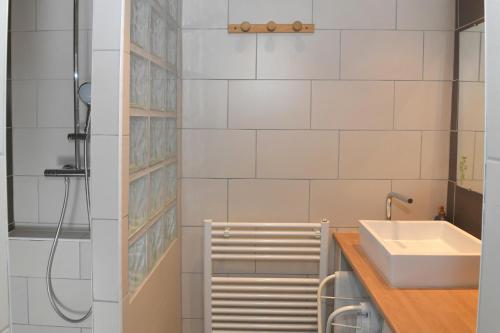 a bathroom with a sink and a shower at LE DUPLEX in Colmar