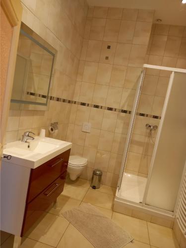 a bathroom with a shower and a sink and a toilet at Le Chateau de Buchy in Buchy