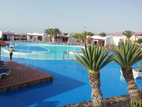 a large swimming pool with palm trees in front of it at Sun Luz Apartments 84 in Caleta De Fuste