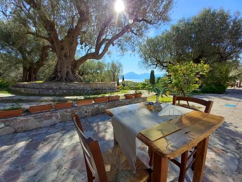a wooden table and chairs in a yard with a tree at Pie' d'Ulivo in Bosco