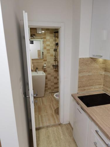 W pokoju znajduje się łazienka z umywalką i toaletą. w obiekcie Centar Milena w mieście Arandelovac