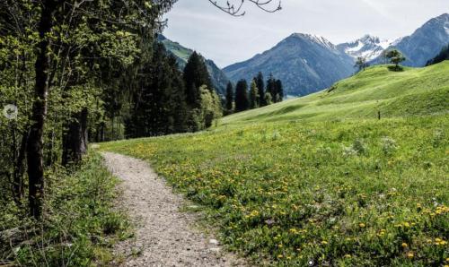a path in a field with mountains in the background at Langeshof Fewo Morgensonne in Caines