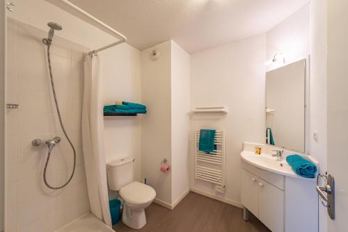 ein Bad mit einer Dusche, einem WC und einem Waschbecken in der Unterkunft Auriol in Toulouse