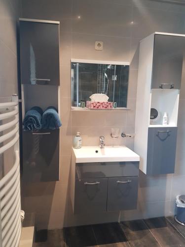 a bathroom with a sink and a mirror at Ferienhaus an den Moorwiesen in Bad Saarow