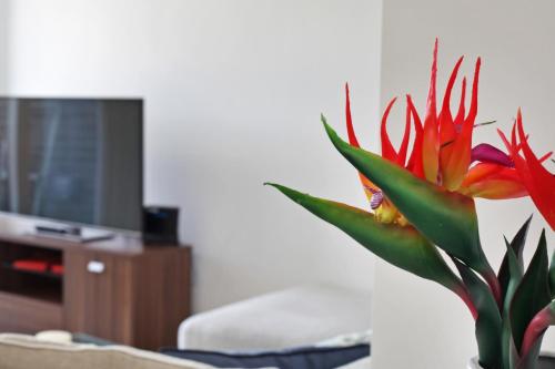 a vase with a flower in front of a tv at Lux 2 & 3 Bed Apartments in Camden Town FREE WIFI by City Stay Aparts London in London
