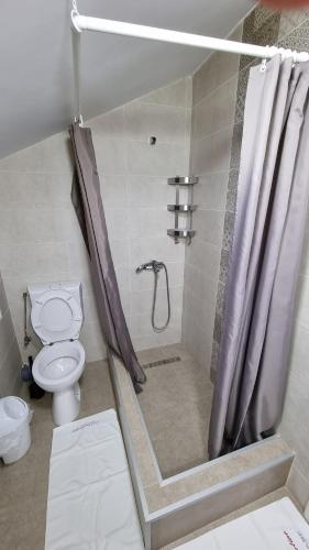 a bathroom with a shower and a toilet at Vila Albertino in Eforie Nord