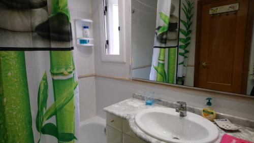 a bathroom with a sink and a shower curtain at Apartament Elizabet in Tarragona