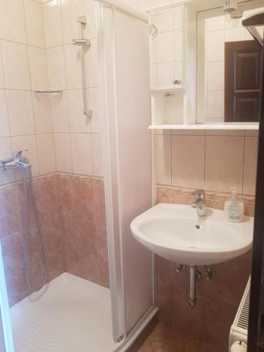 a bathroom with a shower and a sink at Apartments Villa Sandra in Opatija