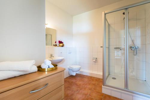 a bathroom with a shower, sink, and toilet at Schloss Harkensee in Dassow