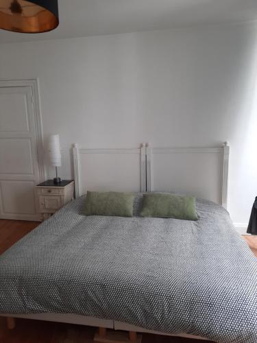 1 dormitorio con cama grande y almohada verde en L'appartement du Pilori 1er étage, en Saint-Jean-dʼAngély