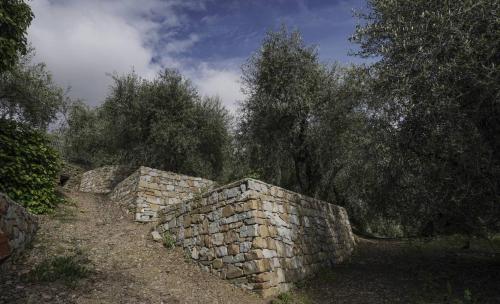 a stone wall and some trees on a field at B&B il Pianolo in Perinaldo