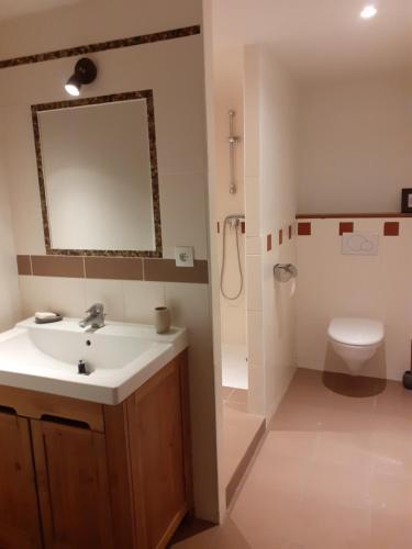 ein Badezimmer mit einem Waschbecken, einem WC und einem Spiegel in der Unterkunft Ferme de la Basse-cour in Gommerville