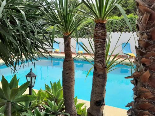 dos palmeras frente a una piscina en Villa Limon - Tropical Oasis with Private Pool, en Jávea