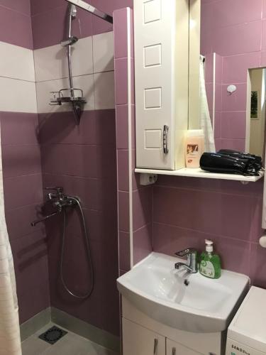 y baño de color rosa con lavabo y ducha. en Apartment, en Leópolis