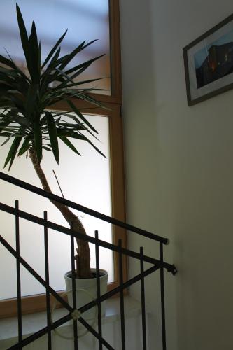 a potted plant sitting on a table next to a window at Ferienhotel Samerhof in Pfarrwerfen