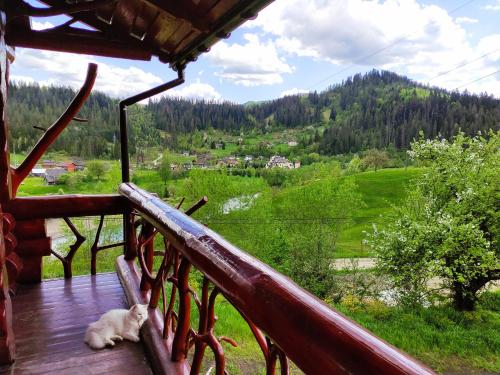 a dog laying on a wooden deck looking at a valley at Дерев'яний котедж "Казка" in Yaremche
