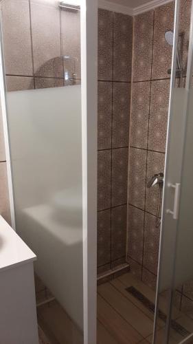 a bathroom with a shower and a bath tub at Casa Sviniceană in Sviniţa