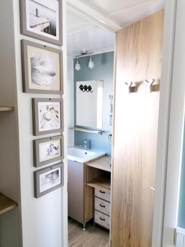 une salle de bain avec un lavabo et un miroir dans l'établissement Bungalow confortable à Saint-Julien-en-Born avec piscine partagée, à Saint-Julien-en-Born