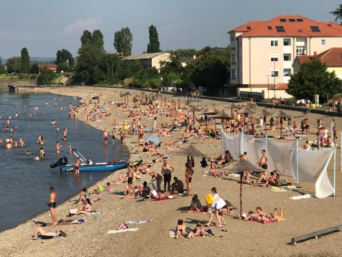 a large group of people on a beach at Danubiana Apartments in Kladovo