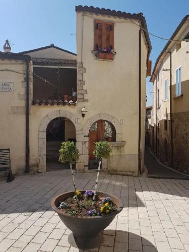 a large pot with two trees in it in front of a building at Antico Borgo in Fornelli