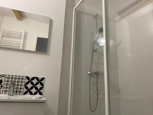 een badkamer met een douche, een spiegel en een wastafel bij L’Ephemere Saint-Louis Maisonette in Marseille