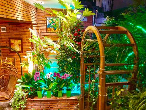 a bunch of plants in a garden with a ladder at Hotel British House in Tbilisi City