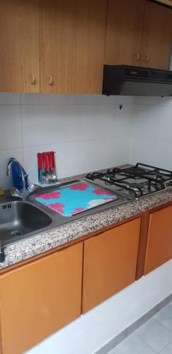 a kitchen counter with a stove and a sink at B&B Soverato Centro in Soverato Marina