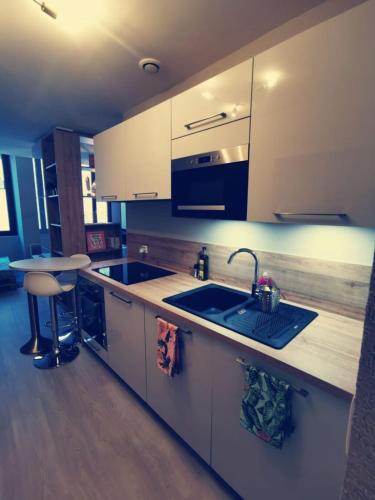 une cuisine avec un évier et un plan de travail dans l'établissement Super studio ideally located in the old town, à Annecy