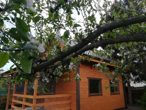 Φωτογραφία από το άλμπουμ του Domek pod jabłonią Mikoszewo σε Mikoszewo