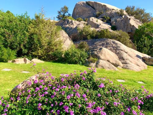 a bunch of flowers in a field with rocks at Art Villa in San Teodoro