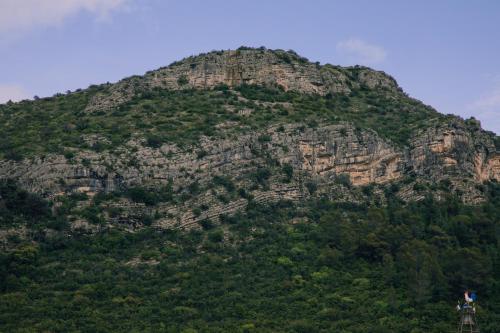 uma grande montanha rochosa com árvores em L'Hotel du Garage des Cevennes em Anduze