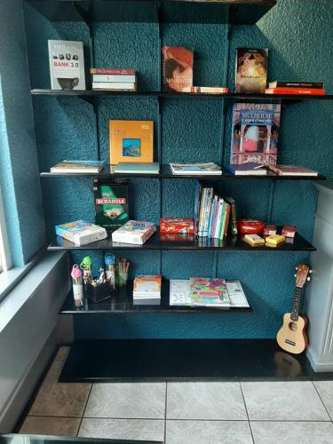 a book shelf filled with books and a guitar at Brit Hotel Mulhouse Centre in Mulhouse