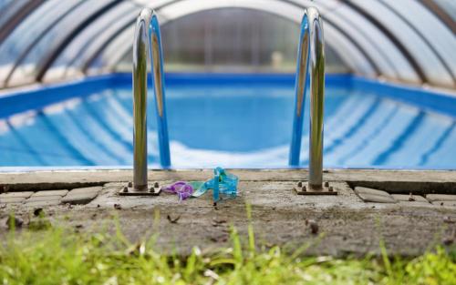 a toy figurine in front of a swimming pool at Chata Musica in Nižné Malatíny